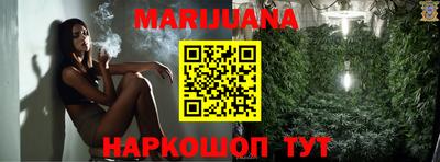 тгк Новозыбков