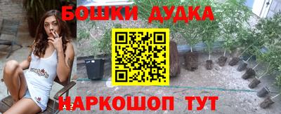 тгк Новозыбков