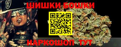 тгк Новозыбков