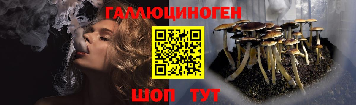 Соль-Илецк  Галлюциногенные грибы Cubensis  Вход с VPN  Галлюциногенные грибы Cubensis 